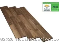 Sàn gỗ Robina