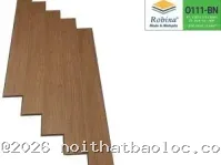 Sàn gỗ Robina