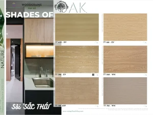 Catalog ván gỗ công nghiệp MDF Bảo Lộc