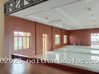 Ốp vách ván tiêu âm